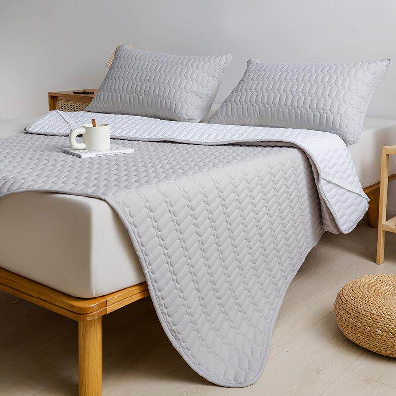 A类简羽丝棉防隔尿纯水洗磨毛GPZ夹棉水床笠床垫单件套件色约床垫