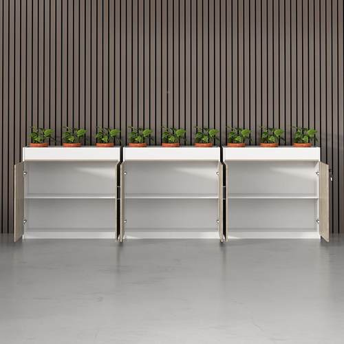 槽办室花文件柜落杂地隔断胡桃系列矮柜员工储物档案资公料柜带锁