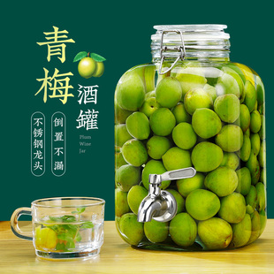 青梅酒瓶专用空瓶泡酒瓶高档密封高硼硅玻璃无铅带龙头酿果酒容器