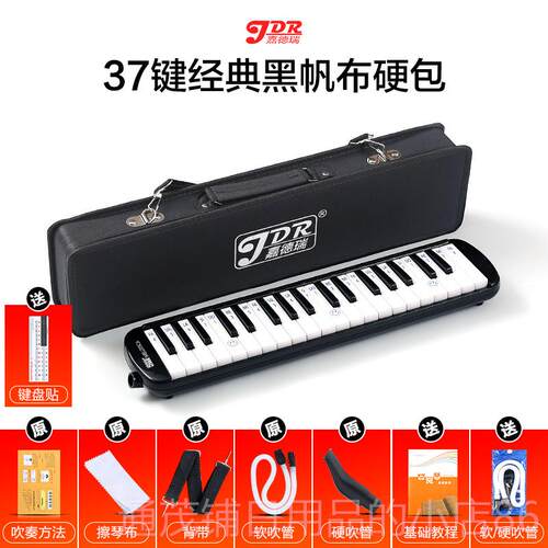 正品嘉风德演瑞口琴37键小学生用专业奏级吹管乐器初学者童儿成人