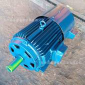 供应优质VP变频电机YLJ列无品牌 力矩电机系全新铜线20年术技Y支