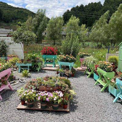 防高脚长方形花箱木号创意个性花槽阳台多腐肉花盆320套装组头合