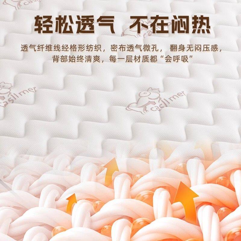 弹簧床垫子家庭用卧室乳胶软租房专用硬椰棕20cm厚四季通用席梦思