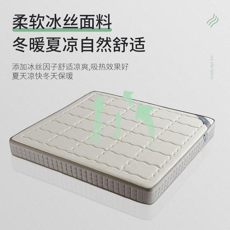 椰棕JQG乳胶型弹簧床能垫多功可拆卸两床垫经济垫子用SM308