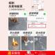 地板革加泥厚耐防水磨防滑水地面积全铺塑UGD胶垫家用pvc地大板贴