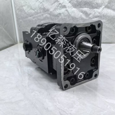 CASAPPA凯斯帕双联齿轮泵KP30.24 KP30.27 30.29 KP30.34 KP30.38