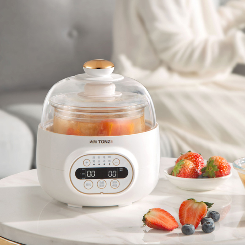 天际小电炖锅燕窝炖盅专用玻璃雪燕隔水炖煲汤养生桃胶银耳家用机