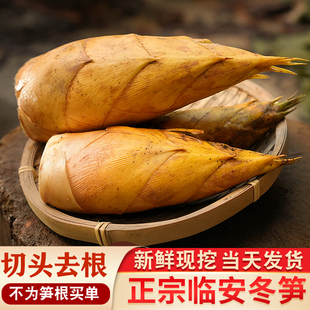 【顺丰现货】新鲜冬笋浙江临安竹笋天目山黄泥拱两头尖蔬菜3斤5斤