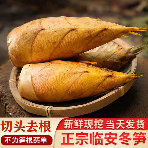 【顺丰现货】新鲜冬笋浙江临安竹笋天目山黄泥拱两头尖蔬菜3斤5斤