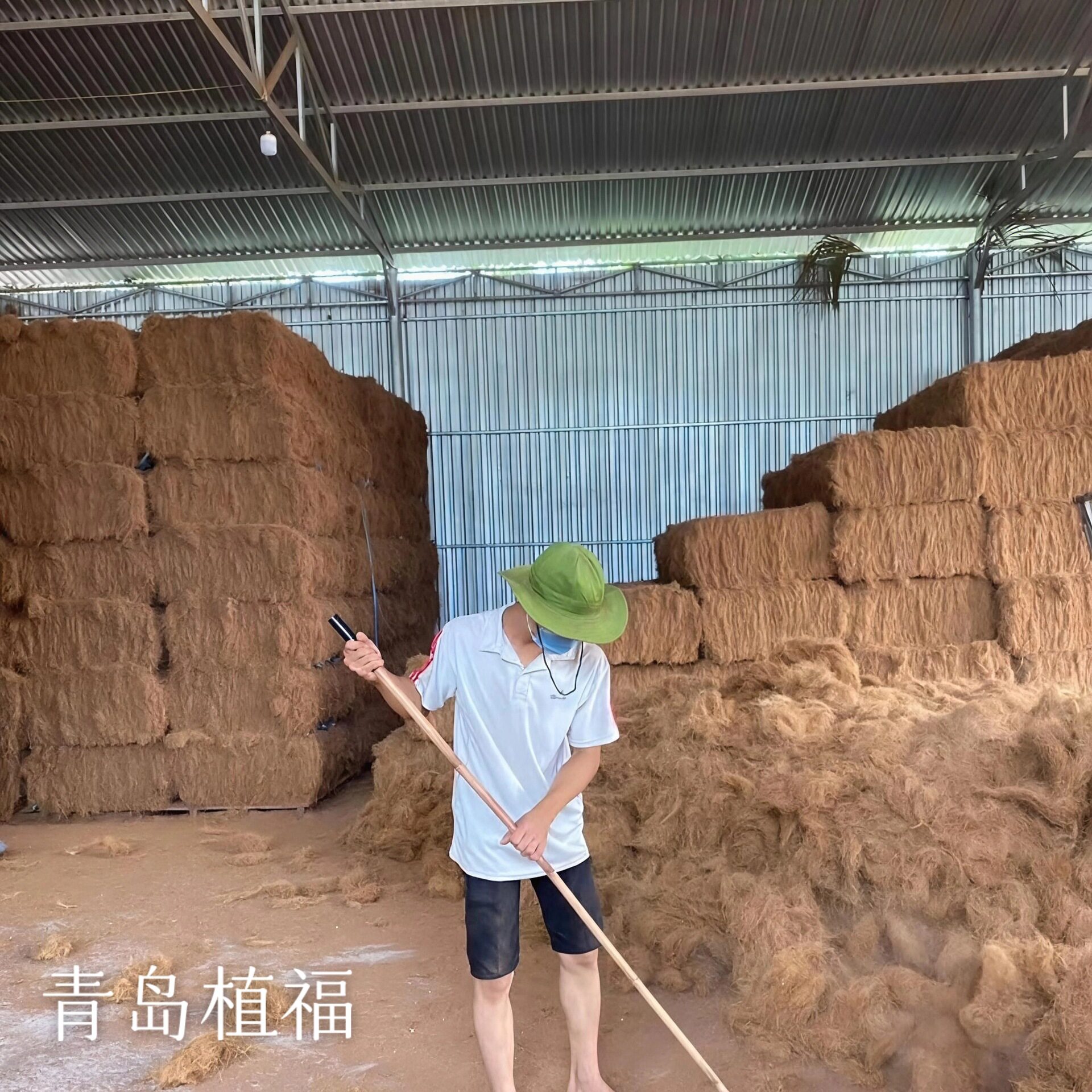 植福椰丝棕榈丝椰丝盆栽用蓝莓铺面椰丝草港口现货促销精梳椰棕丝