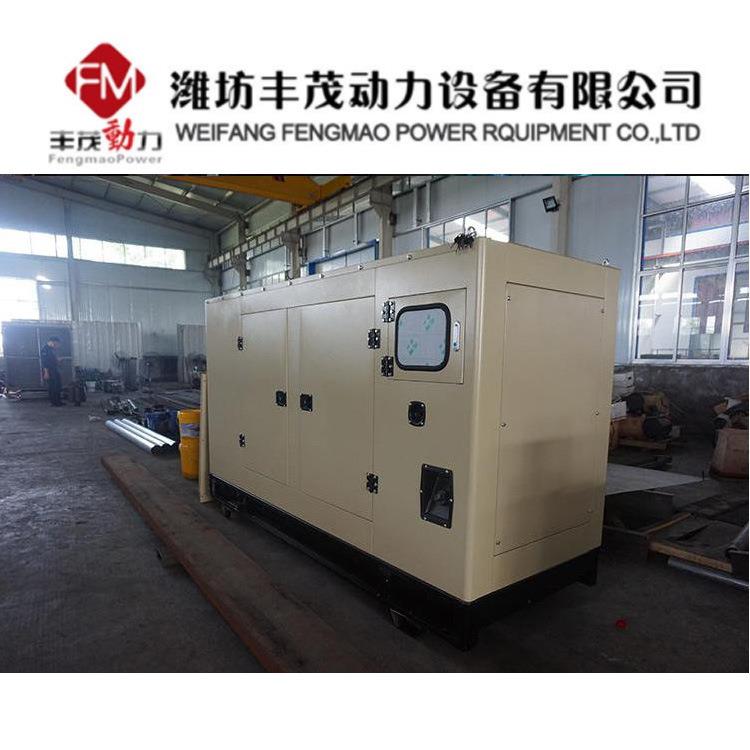 雨棚式250瓦发电机防组250kw全自临动静音FM250GF箱千工地户外施