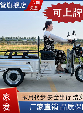 小巴士货斗电动三轮车拉货小型家用可上牌电瓶车农用电三轮三蹦子