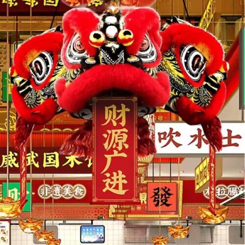 南狮行老夫子醒狮 精品南狮 高档醒狮狮头 符合比赛 南狮器材喜庆