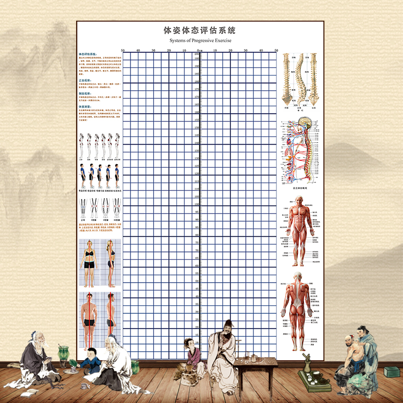 姿势矫形体态评估表医院诊所中医正骨推拿整脊理疗健身体测背景墙