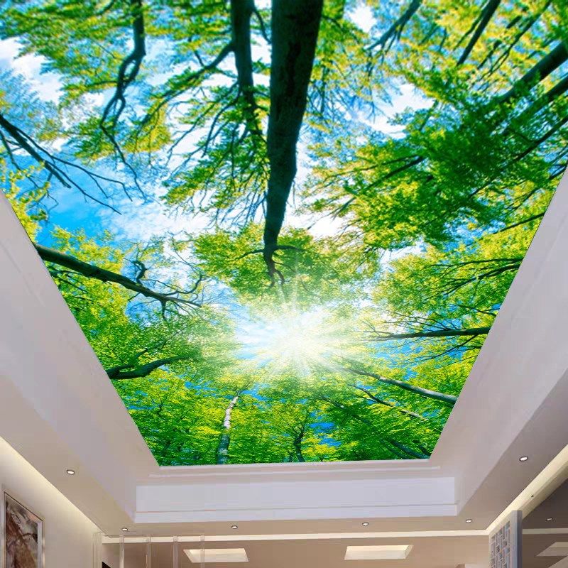 3d立体蓝天白云墙纸8d客厅卧室天空天花板吊顶壁纸欧式背景墙壁画