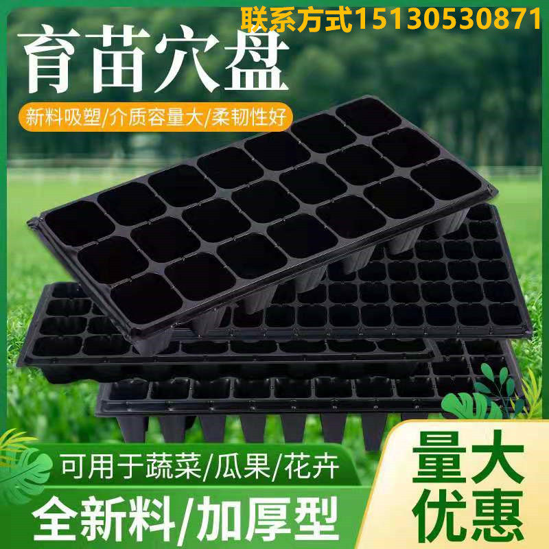 黑色育苗穴盘 蔬菜苗盘 加厚 林木穴盘育苗盘 一次性育苗盘