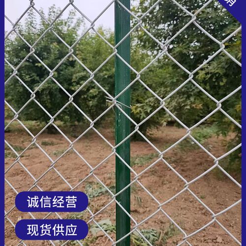 镀锌勾花网铁丝网养殖围栏护栏网狗鸡羊养鹿网果园山地隔离防护网