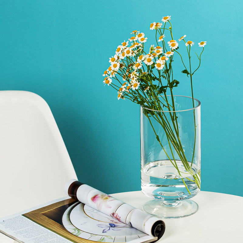 花瓶透明玻璃客厅书房富贵竹插花电视柜鲜花花器欧式家居餐桌装饰,家居饰品,花瓶,淘宝优惠券,粉丝福利购,淘宝优惠卷