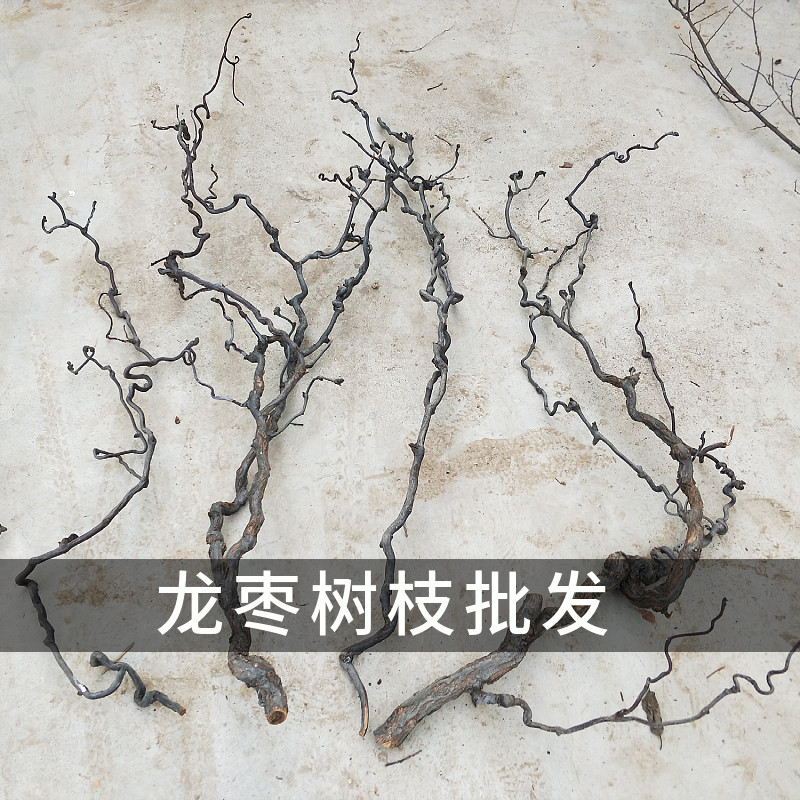 树枝装饰干枝壁挂天然多分叉龙枣树枝挂墙衣架手工原木枯树枝摆件