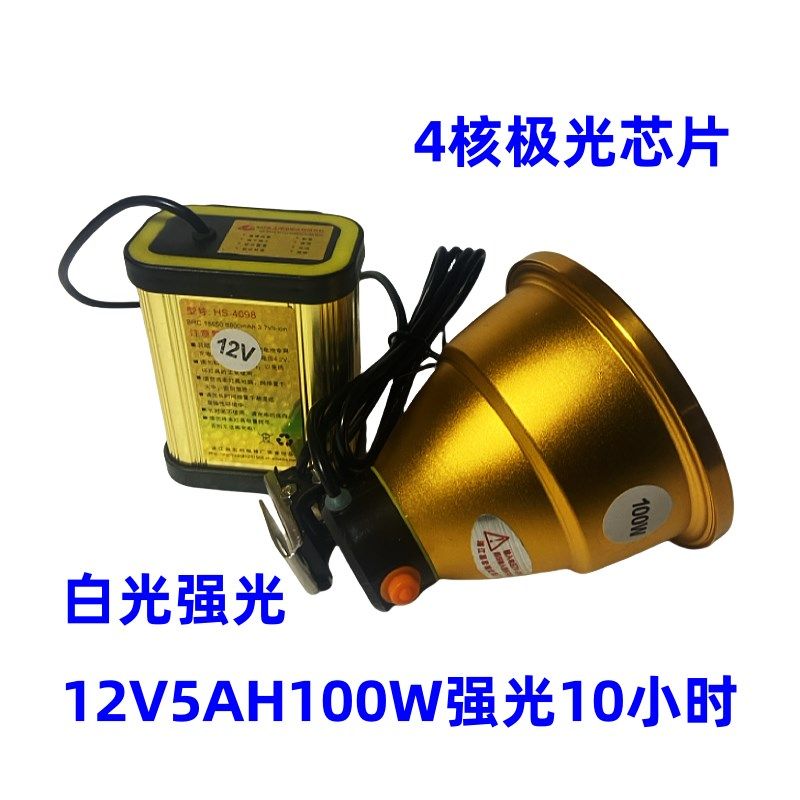 鸿顺12伏5AH锂电瓶12V20Ah锂电池100W夜钓灯钓鱼灯蓝光白黄光LED
