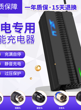 21串磷酸铁锂76.65v锂电池电瓶充电器76.65V2a5a8a10a锂电池充电