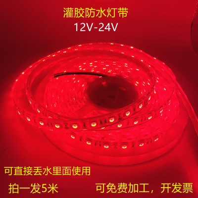 水池用灯带24V5050灌胶防水白光灯带12V渔船喷泉防水白光LED灯条