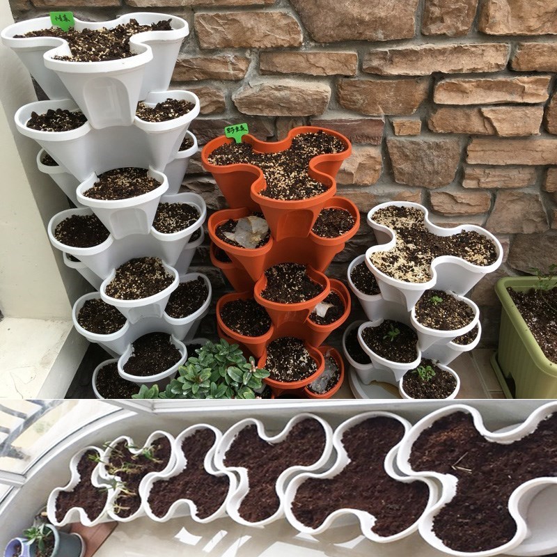 阳台立体组合种菜盆 创意多层草莓种植塑料花盆 花园种植箱花盆架