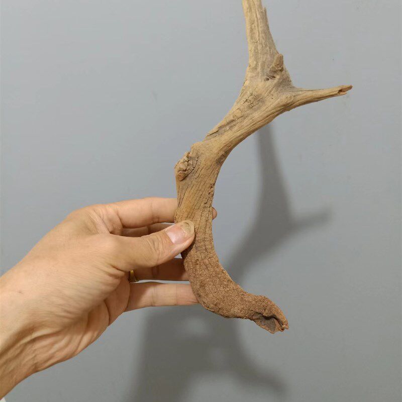 北太行崖柏毛料原木陈化客厅装饰摆件diy艺术造型干枯天然树枝材