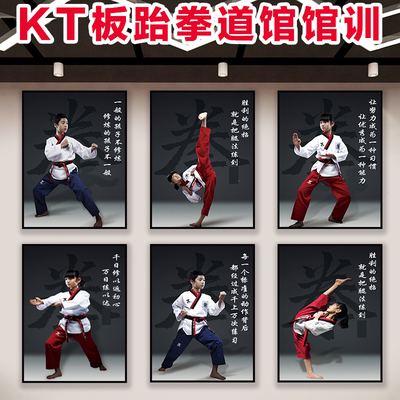 跆拳道墙贴道馆装饰KT板泡沫板贴画文化墙形象墙精神武术馆背景墙