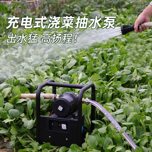 充电式浇菜抽水泵农用灌溉抽水机12v大功率家用小型抽水泵