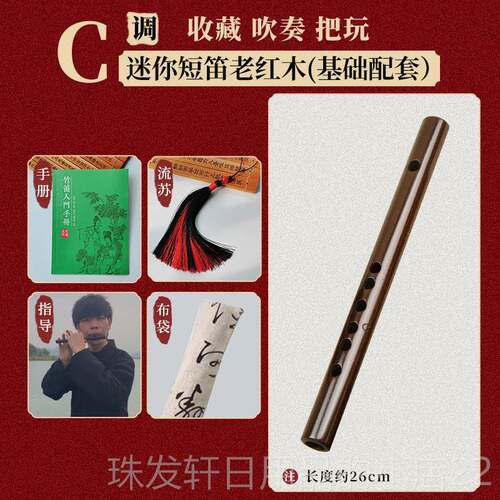 高档楚吟 笛短迷你笛子26CM黑檀无膜孔笛子随身小乐器小古风成人