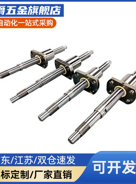 滚珠丝杠 C-TBSE TBSB2505/2510/2525-L150 L200 L300 L400~800