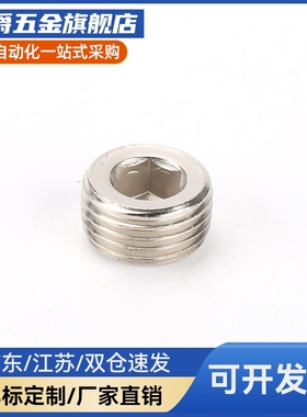 锥形沉头螺塞 不锈钢喉塞 MSWTS/MSWTSK-J/S/1/2/3/4/6/8