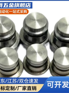 LLT3.5直线导轨偏心销 用定位销LLT5 LLTS5 ICE11-T5不锈钢LLTA5