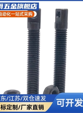 碳钢拉伸弹簧支柱FFD01AIPO3/4/5-10/15/20/25/30/35/40/50