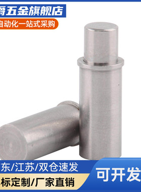 MPJS/MPFS 1.5-1.5 2-1.5 3-3 4-3 5-4 平头销小径弹簧柱塞短型