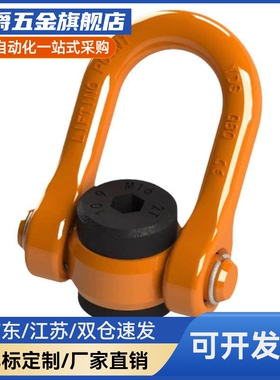 回转吊环SLEB/SLEBH8/10/12/16/20/24/30/36/42/48/64替代