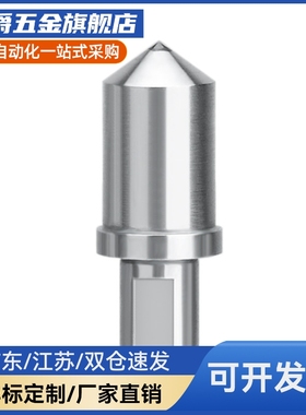 定位销YEJ21 22 25-D8 D10 D12 D13-P8 P7 P9 P10 P11 P12-L8-B2