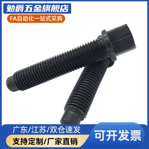 BSPOZ3/4/5/6拉伸弹簧用支柱 沟槽型 颈部全螺纹型FFH01
