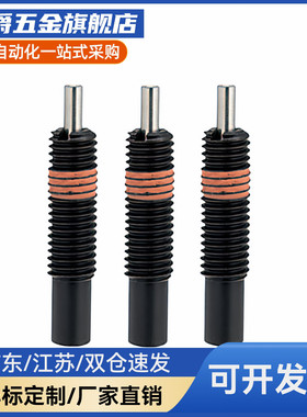 PJLF5/6/8/10/12-3/5/10前端平面型弹簧柱塞