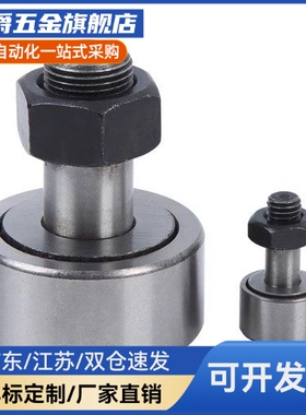 BPC02-d5-d6-d8-d10-d10A-d12-d12A-d16-d18-PP凸轮轴承随动器