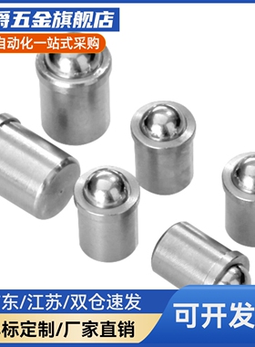 球头柱塞定位珠ZAL01/02/21/22-D3/4/5/6/8/10