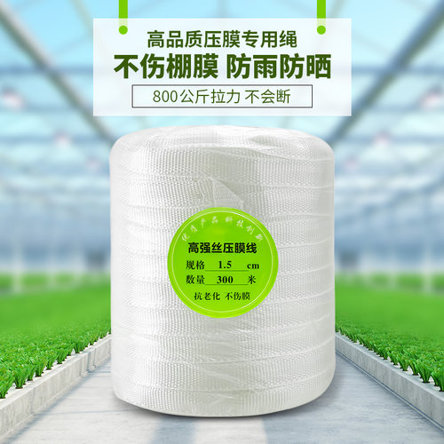 西瓜大棚抗老化压膜带温室大棚配件聚酯纤维丝高强度优质压膜绳托
