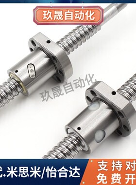 滚珠丝杆BSST BSSR BSSZ (K)1204 2005 2010 2505 2510 3205 3210