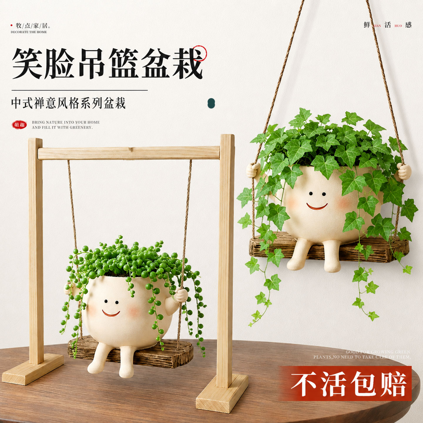 装饰百搭提供情绪价值的可爱盆栽