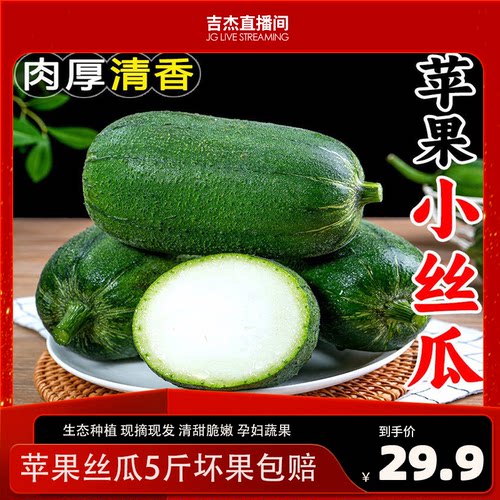 苹果丝瓜5斤装生态种植现摘新鲜