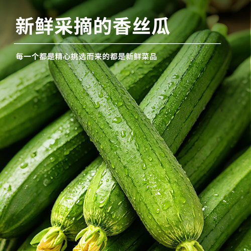 江西农家奶油香丝瓜现摘现发