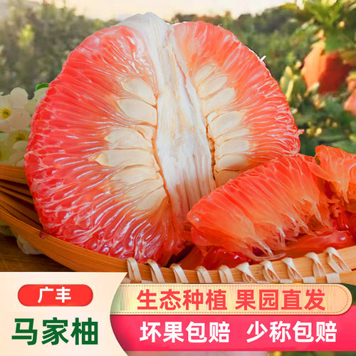 江西广丰马家柚子正宗红心超好吃