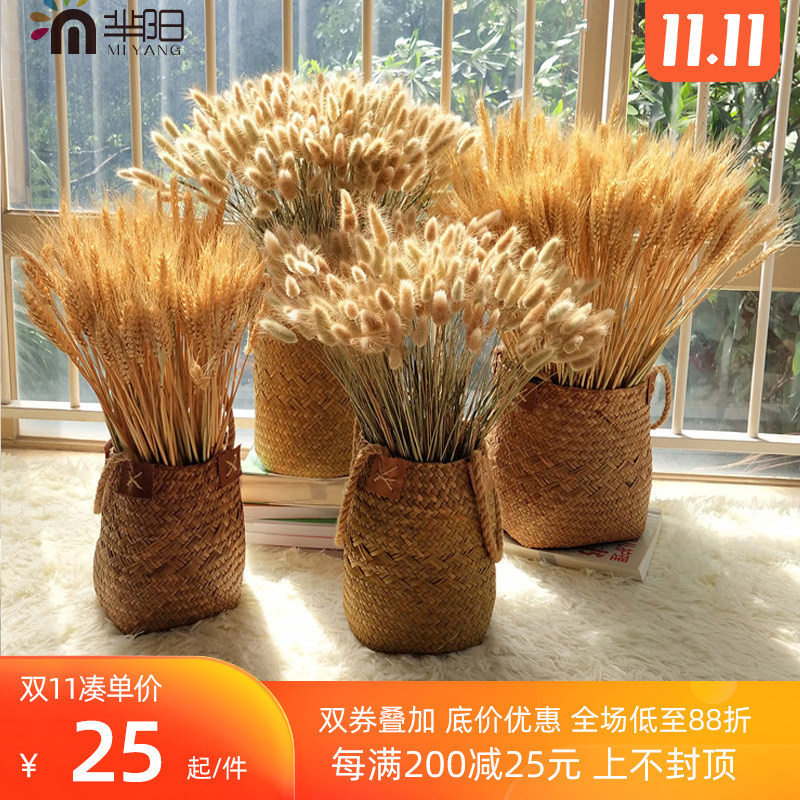 芈阳 天然草编花篮花器花瓶 麦穗大麦芦苇稻谷装饰摆件 干花套装