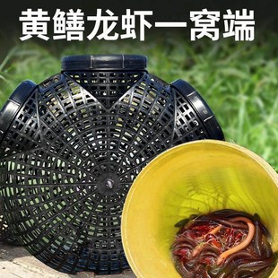 养鱼网黄鳝捕捉渔具特大号新型捕捉鱼笼泥鳅大型大口径黑鱼专用